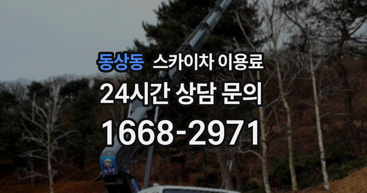 동상동 스카이차 이용료