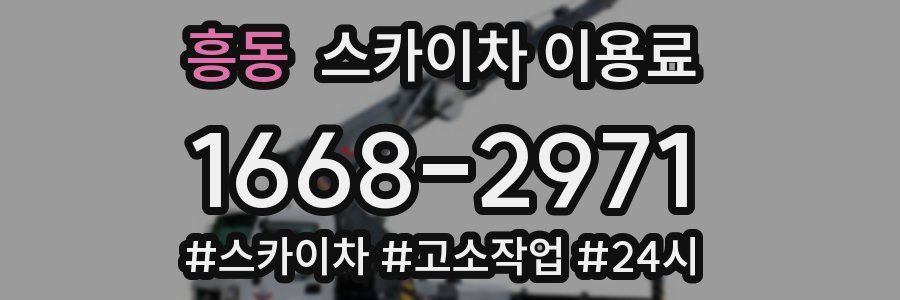 흥동 스카이차 이용료