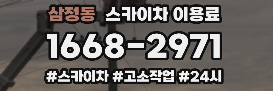 삼정동 스카이차 이용료