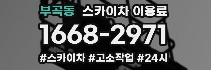 부곡동 스카이차 이용료