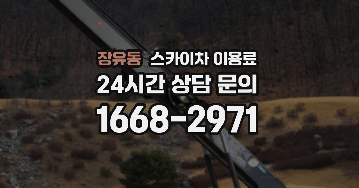 장유동 스카이차 이용료