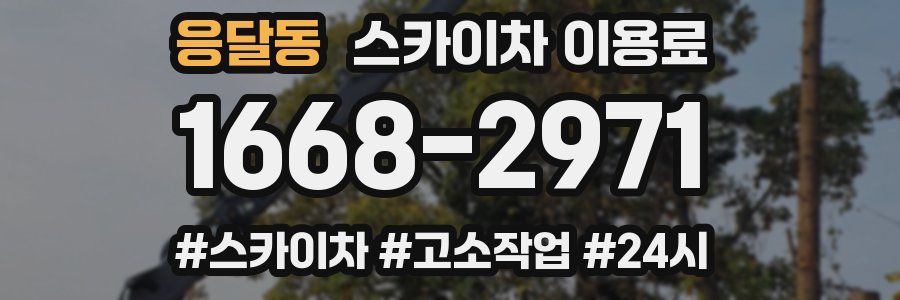 응달동 스카이차 이용료