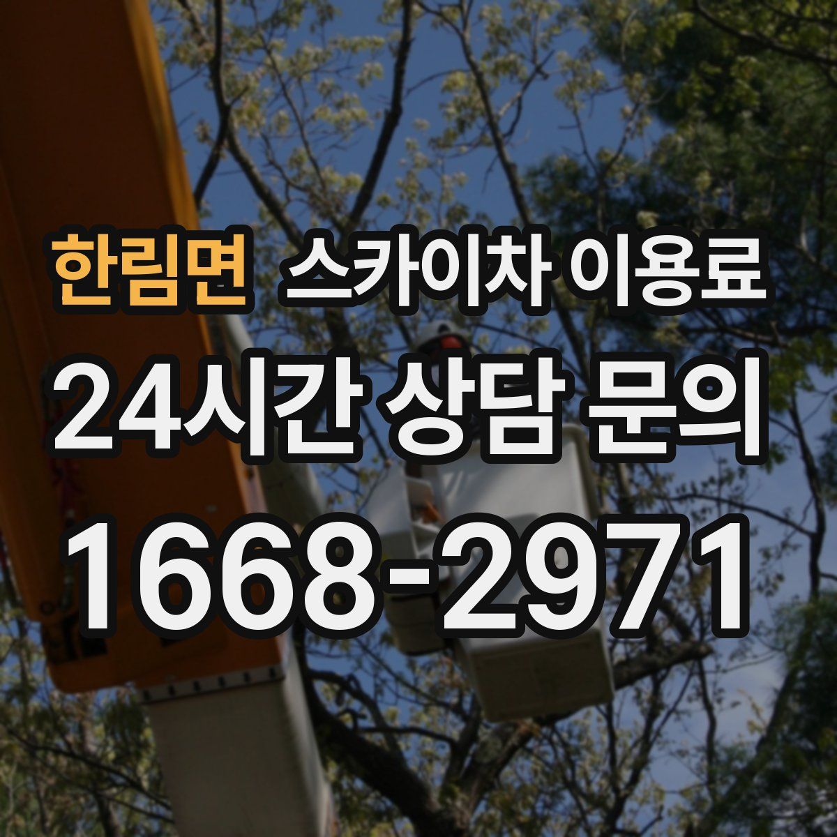 한림면 스카이차 이용료
