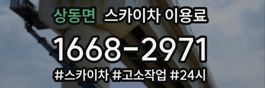 상동면 스카이차 이용료