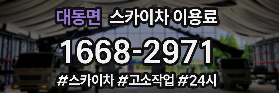 대동면 스카이차 이용료