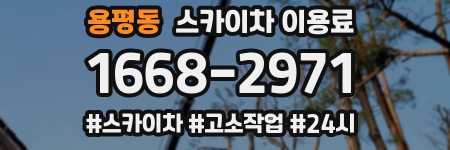 용평동 스카이차 이용료