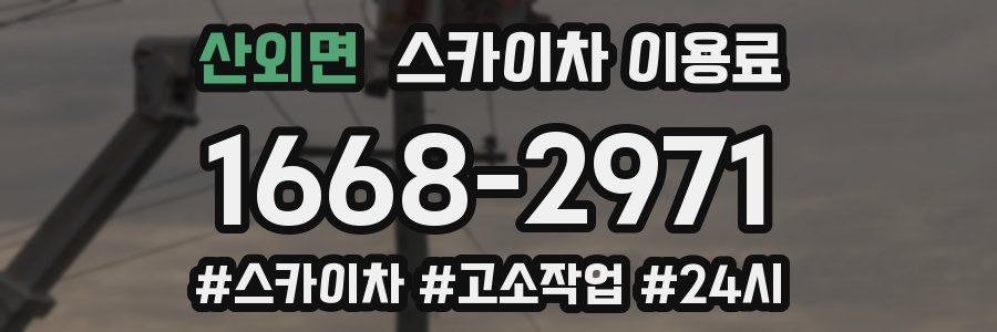 산외면 스카이차 이용료
