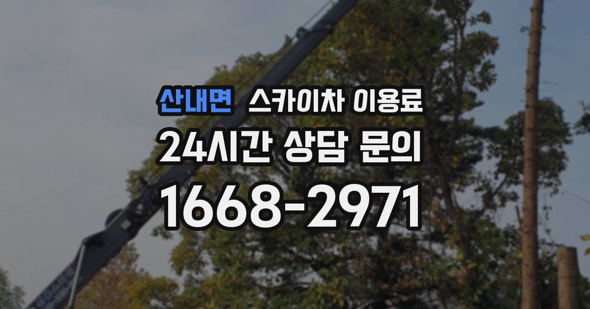 산내면 스카이차 이용료