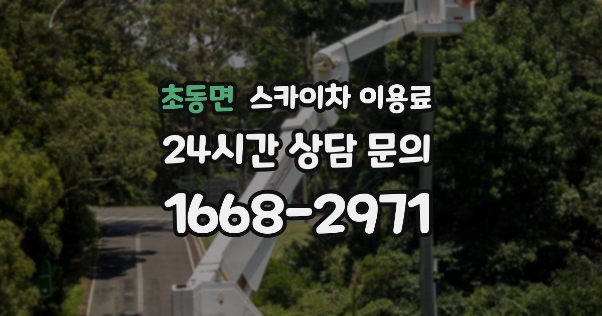 초동면 스카이차 이용료