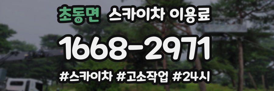 초동면 스카이차 이용료