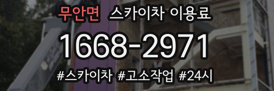 무안면 스카이차 이용료