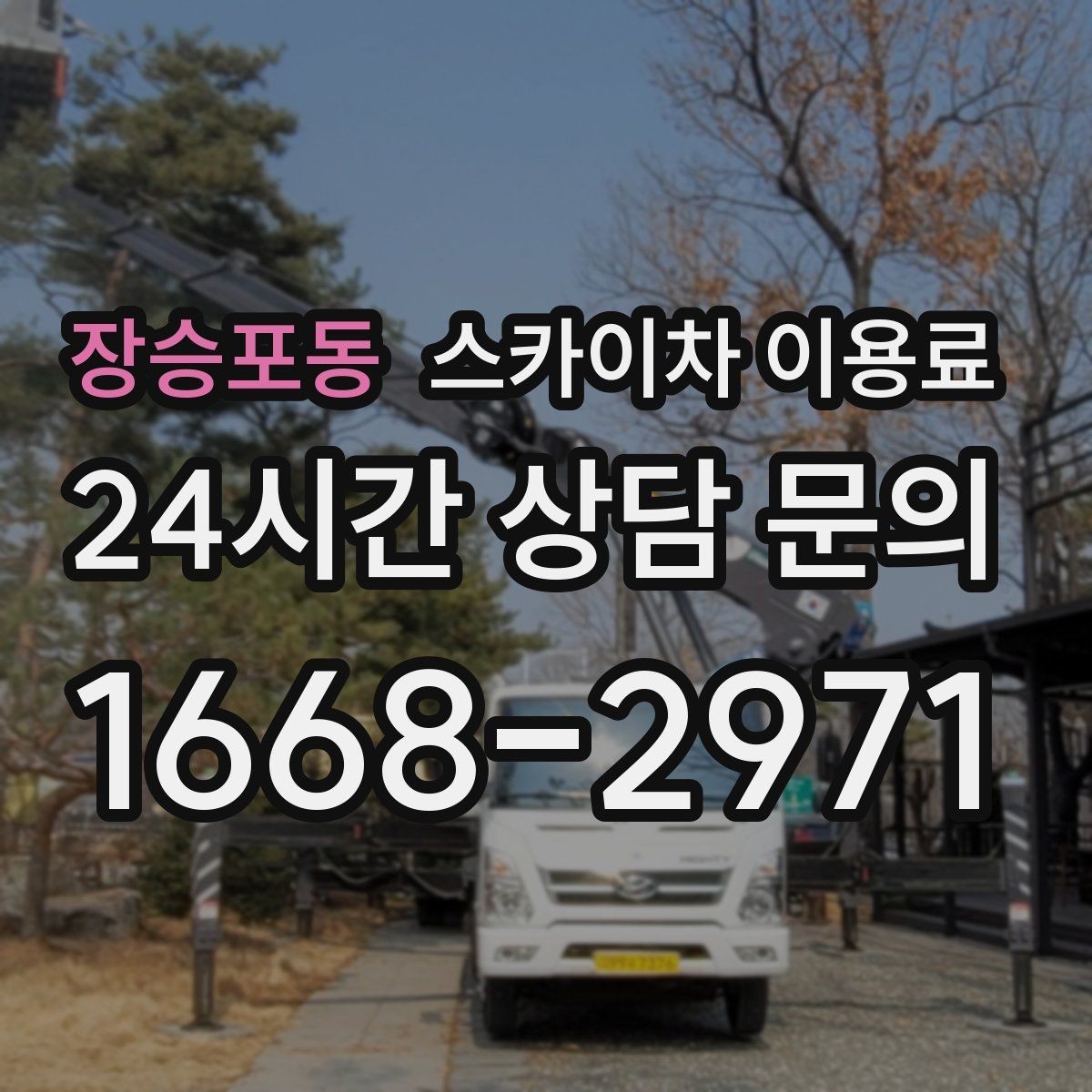 장승포동 스카이차 이용료 상담 시 자주 묻는 내용
