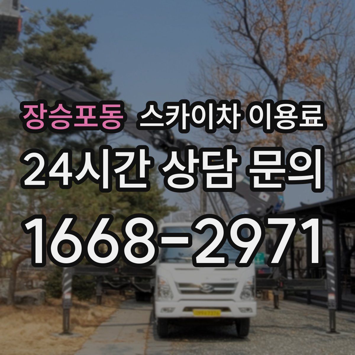장승포동 스카이차 이용료