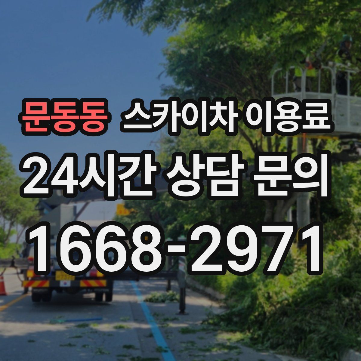 문동동 스카이차 이용료