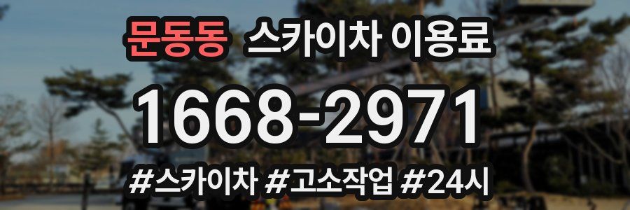 문동동 스카이차 이용료