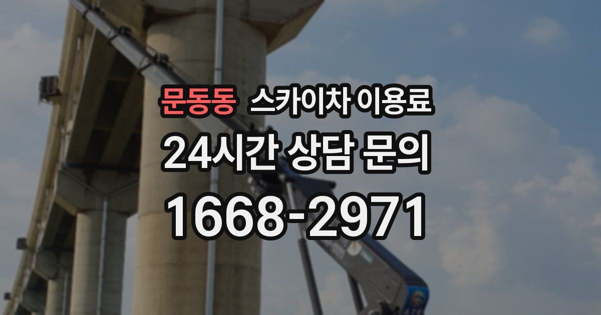 문동동 스카이차 이용료