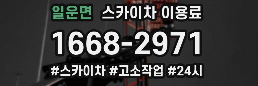 일운면 스카이차 이용료