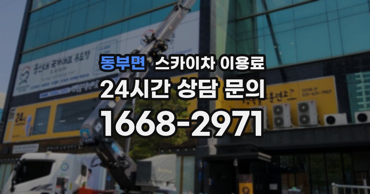 동부면 스카이차 이용료