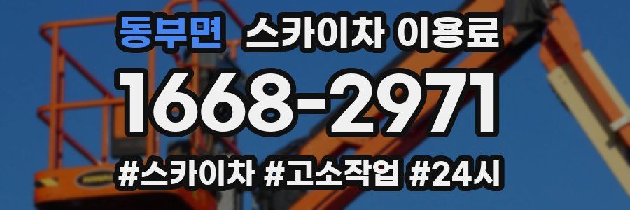 동부면 스카이차 이용료