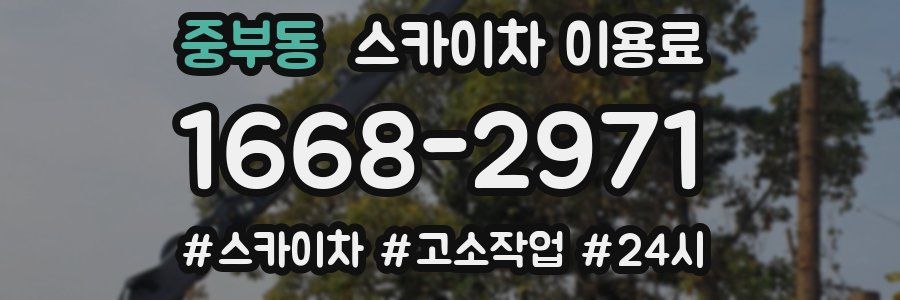 중부동 스카이차 이용료