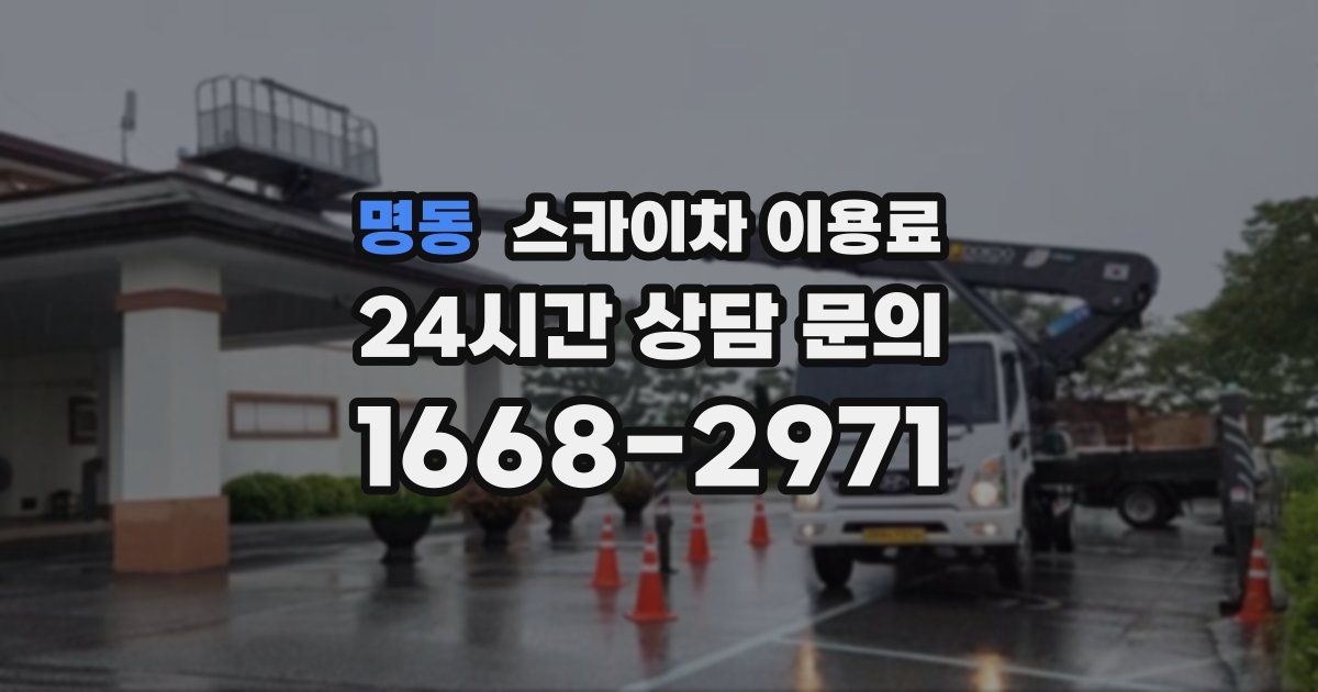 명동 스카이차 이용료