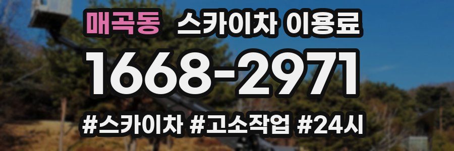 매곡동 스카이차 이용료