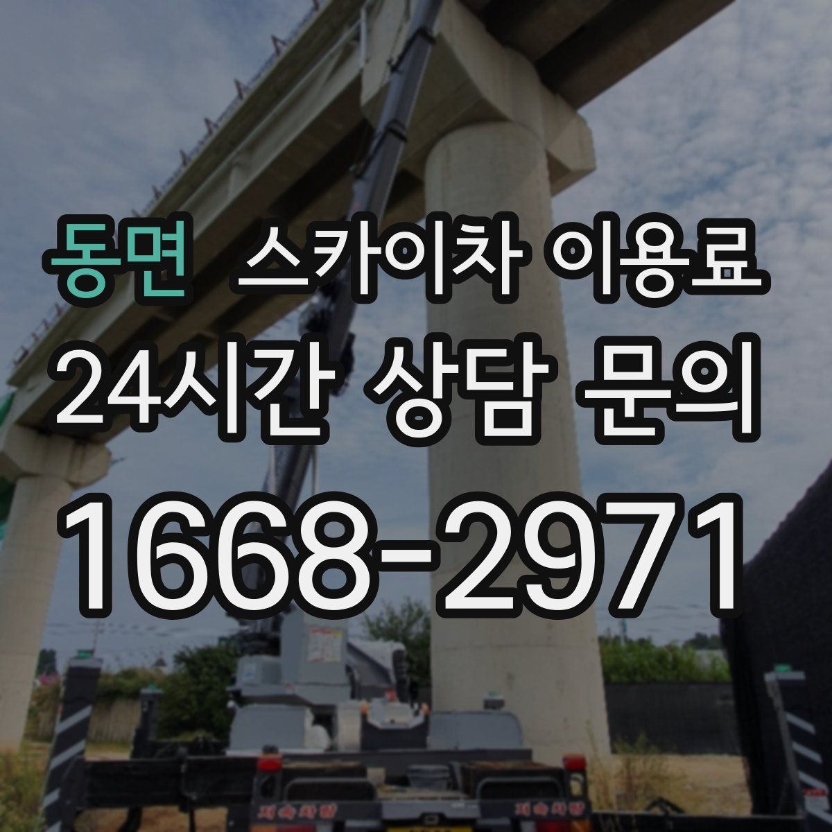 동면 스카이차 이용료