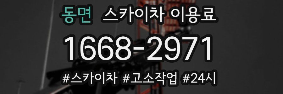 동면 스카이차 이용료