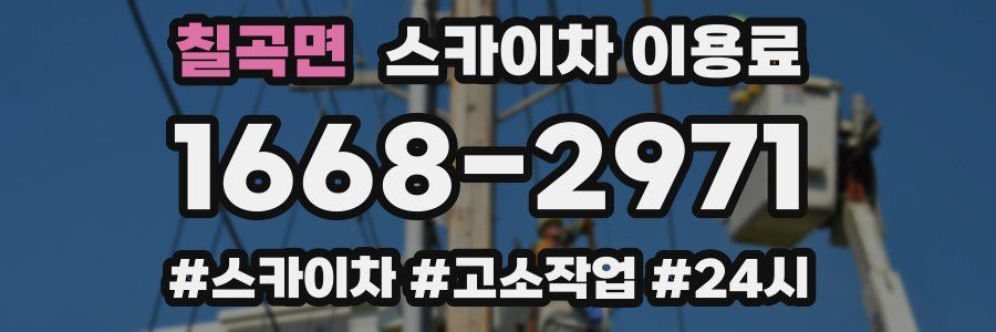 칠곡면 스카이차 이용료