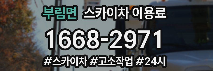 부림면 스카이차 이용료