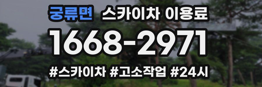 궁류면 스카이차 이용료