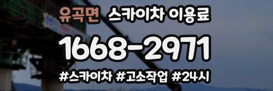 유곡면 스카이차 이용료