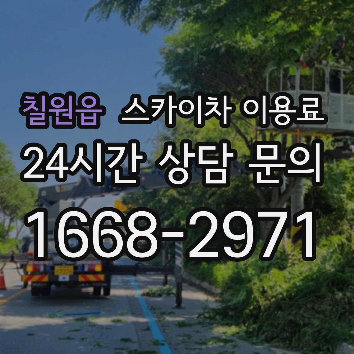 칠원읍 스카이차 이용료
