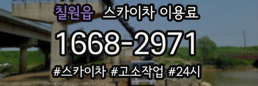 칠원읍 스카이차 이용료