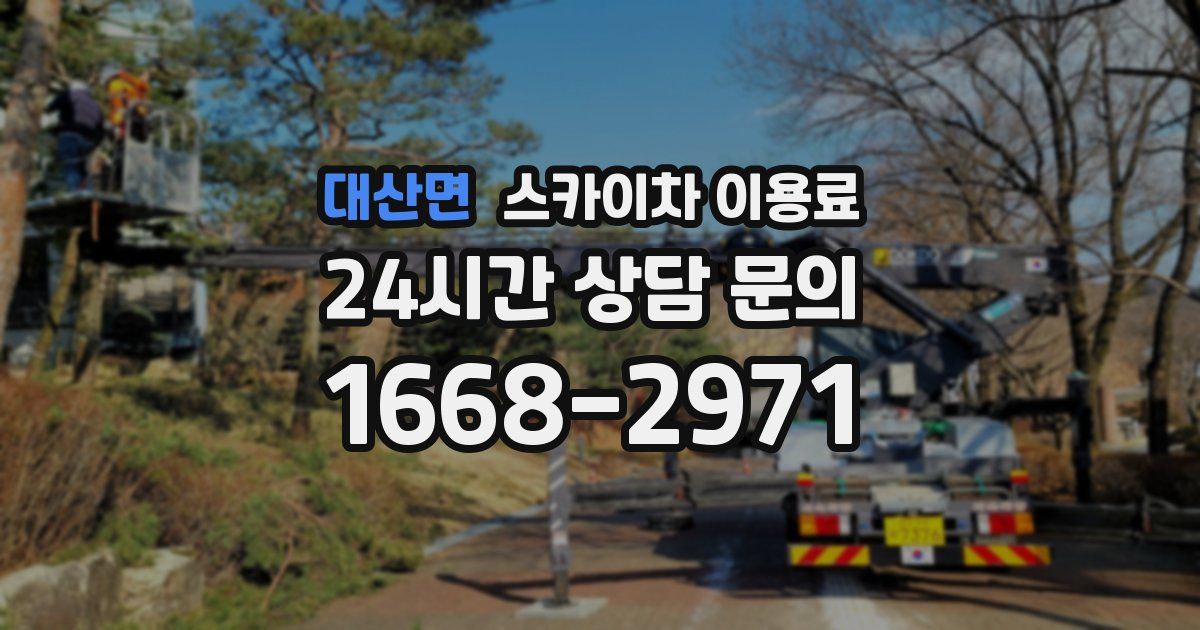 대산면 스카이차 이용료