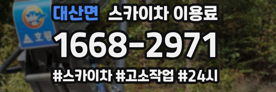 대산면 스카이차 이용료