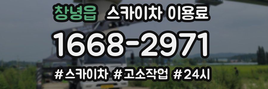 창녕읍 스카이차 이용료