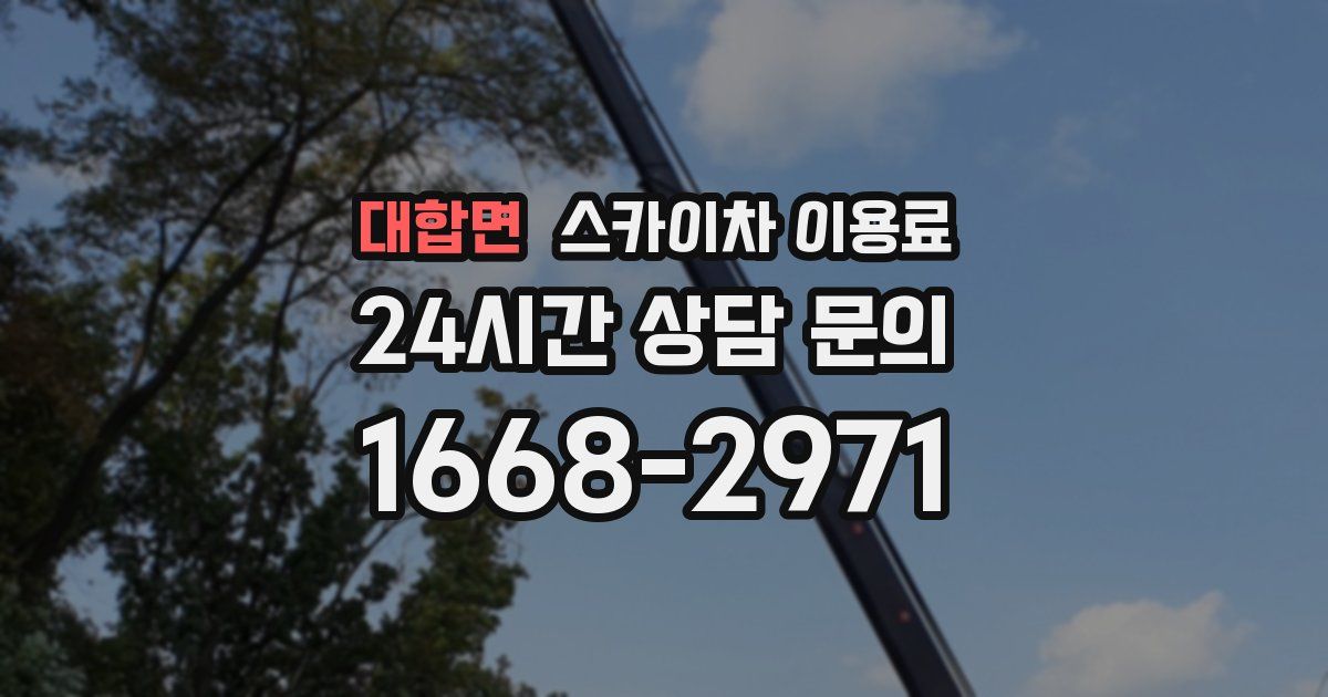 대합면 스카이차 이용료