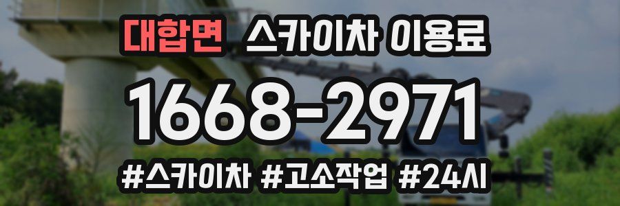 대합면 스카이차 이용료