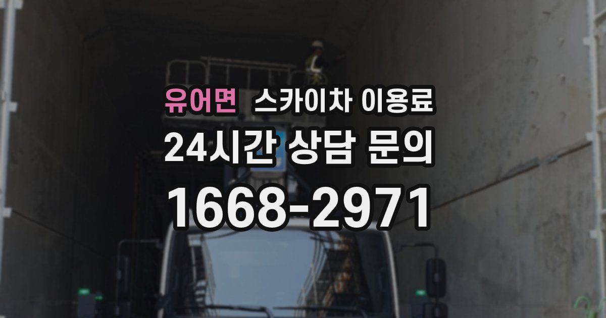 유어면 스카이차 이용료