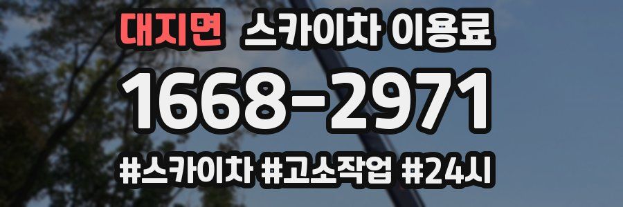 대지면 스카이차 이용료