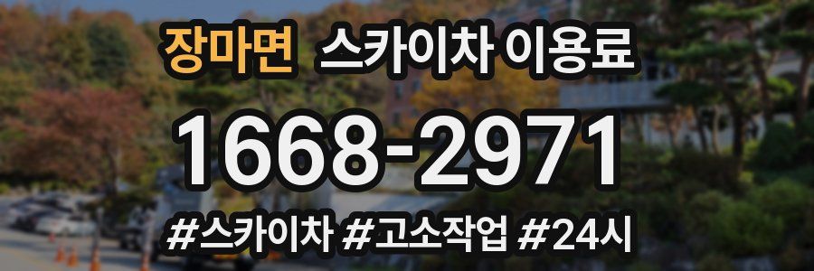 장마면 스카이차 이용료
