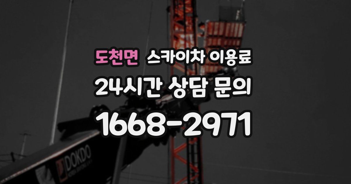도천면 스카이차 이용료