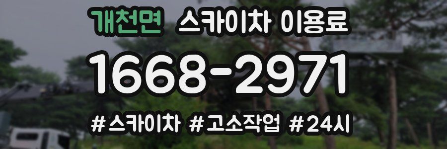 개천면 스카이차 이용료