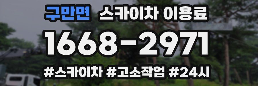 구만면 스카이차 이용료