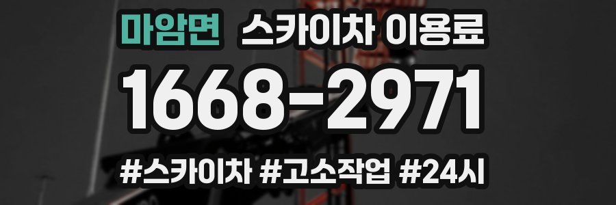 마암면 스카이차 이용료