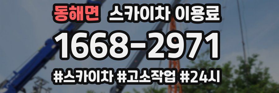 동해면 스카이차 이용료
