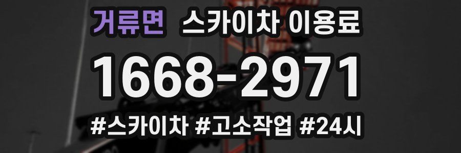 거류면 스카이차 이용료