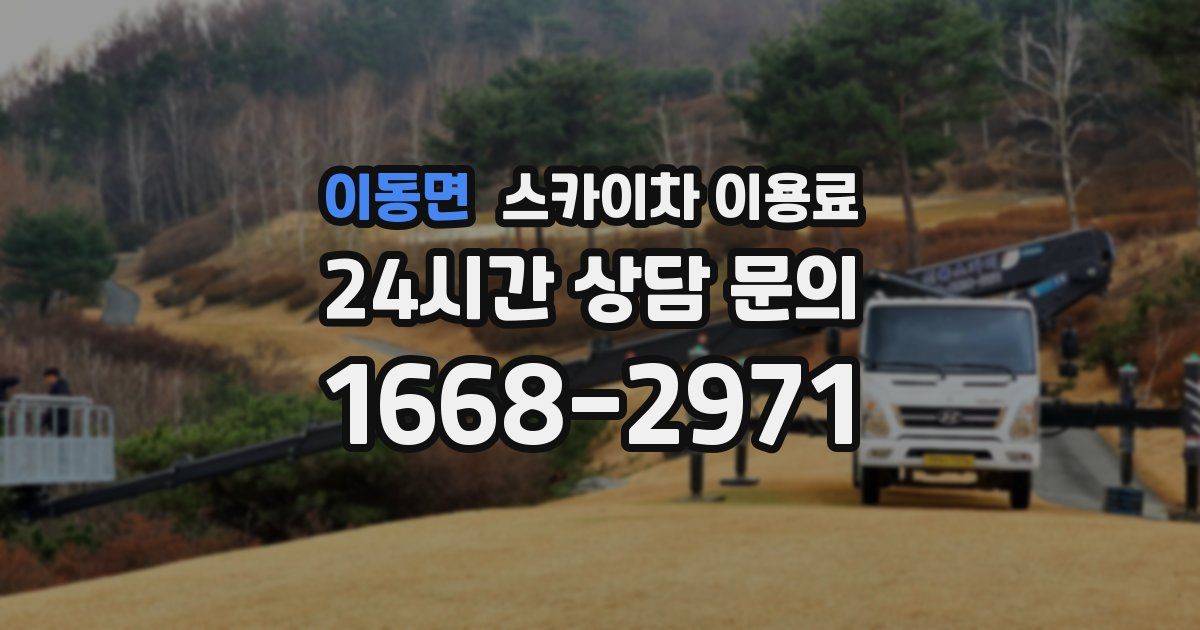 이동면 스카이차 이용료