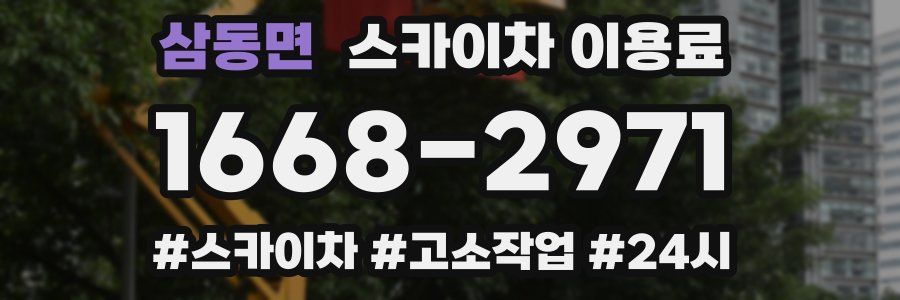 삼동면 스카이차 이용료